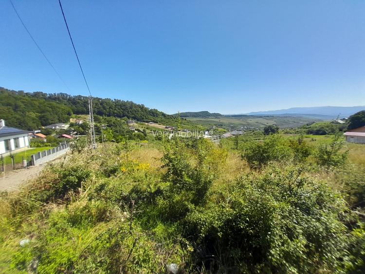 TEREN 990MP,VALEA JELNII - 2