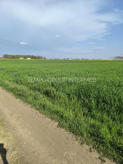 Frumusani DN 4 Popas-20km de Bucuresti , posibilitate parcelare