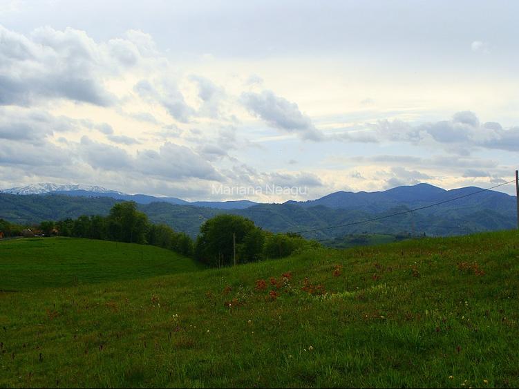 Teren Poiana Mărului Brașov,  PUZ, 11600mp, pe ruta via Transilvanica - 10