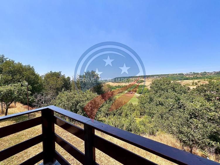 Vila cu 6camere de vanzare in Carcea/Dolj - 12