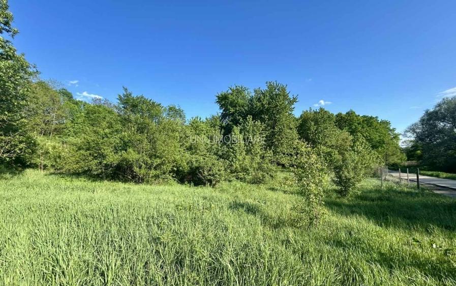 Teren 1000-2000mp intravilan in Gradina Botanica Iasi, 200€/mp, utilitati - 9