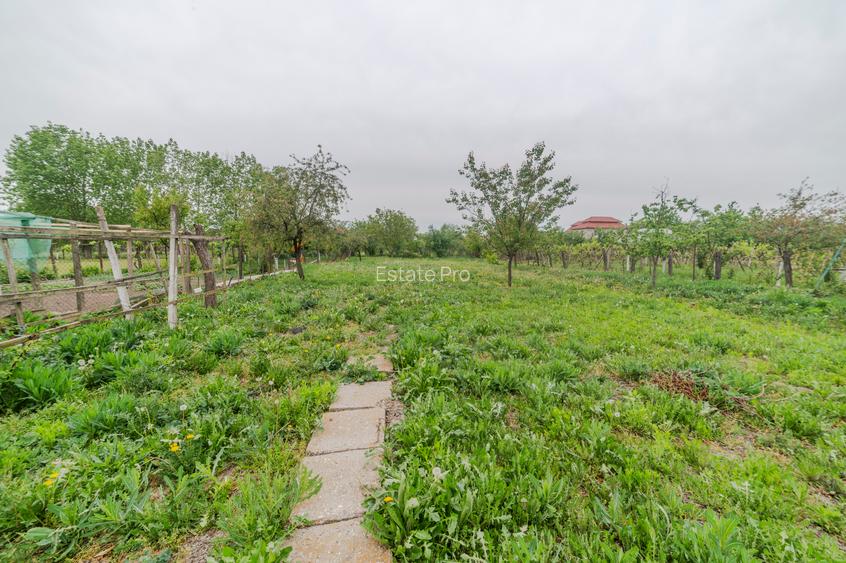 Casa Individuala, 4 camere - Pancota (teren 1605mp) - 24