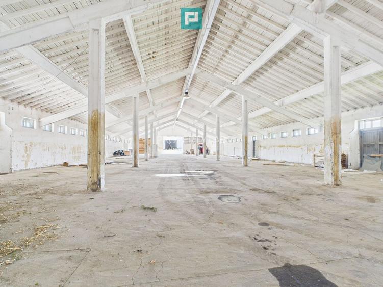 Hale 1800 mp fiecare – acces autostradă, Teiu, HD - 4