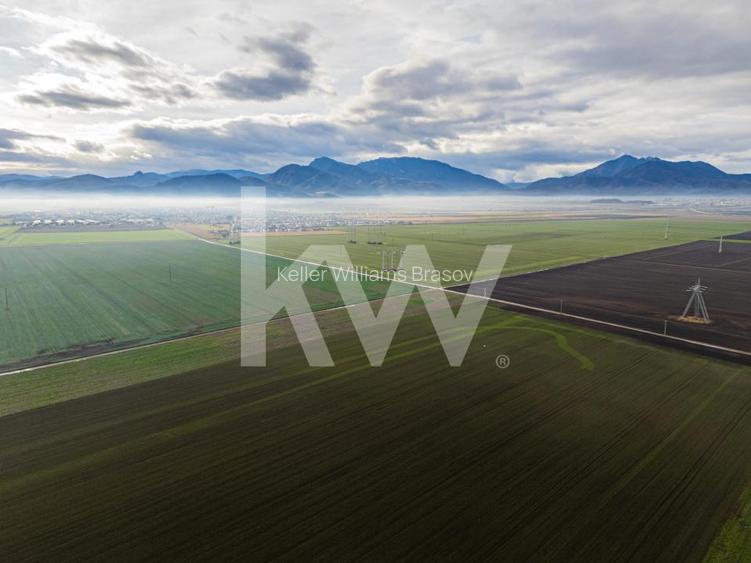 Teren exceptional pentru investitii industriale langa Brasov - 6