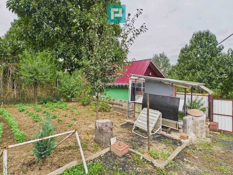 Căsuță de vacanță pentru pescari în Lipova - 3