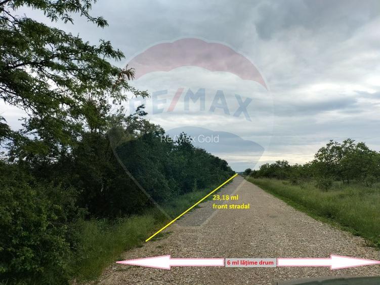 Teren 3,700mp Gulia/DN7 -20 km fata de Pta Victoriei -ideal investitie - 4