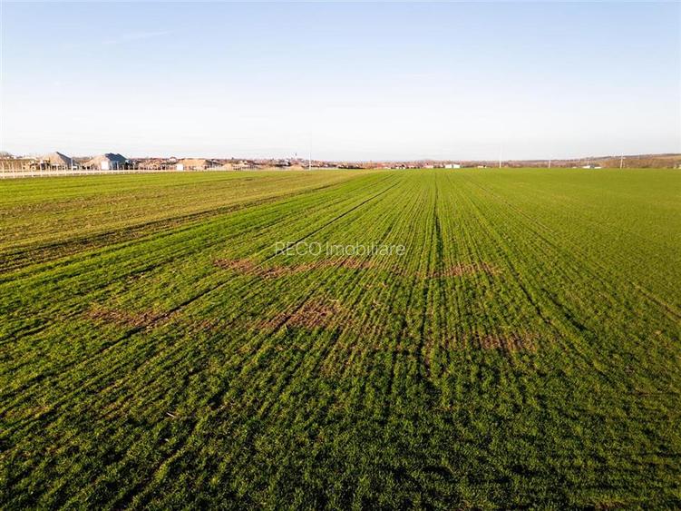 RECO Teren extravilan in Biharia 5500 mp zona intravilana - 2