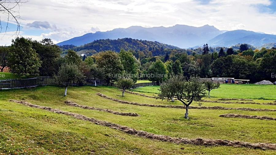 Teren superb de 16240mp, parcelabil, in Bran la intrare in Moeciu de Jos - 6
