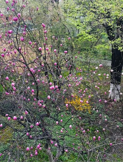 Apartament 3 camere, Bld. Brancoveanu. Decomandat. - 2