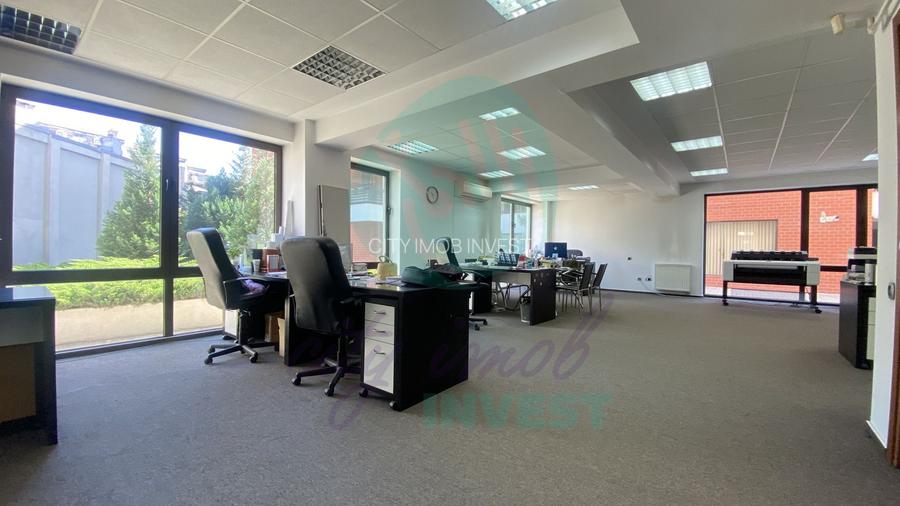Spațiu de Birouri Modern, Cișmigiu - 8