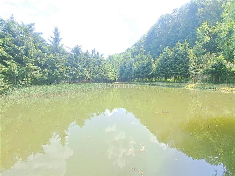 Cabana pe apa in Padurea Neagra - 17