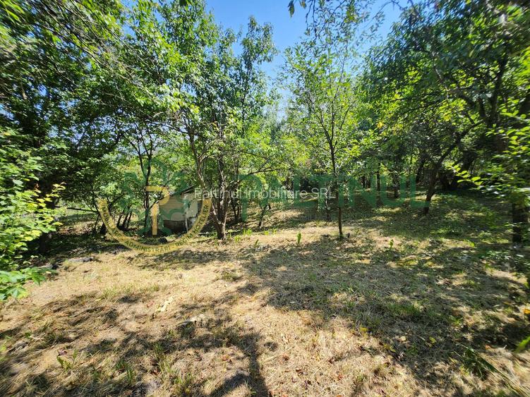 Casă Nucet, 864 mp teren cu pomi fructiferi – la 21 km de Sibiu - 3