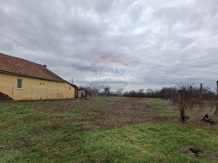 Teren intravilan 1,241mp Frumușeni, Arad - 2