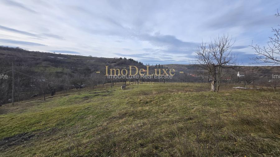 Teren intravilan, 6000mp, priveliste, comuna Baciu, zona Suceagu - 2