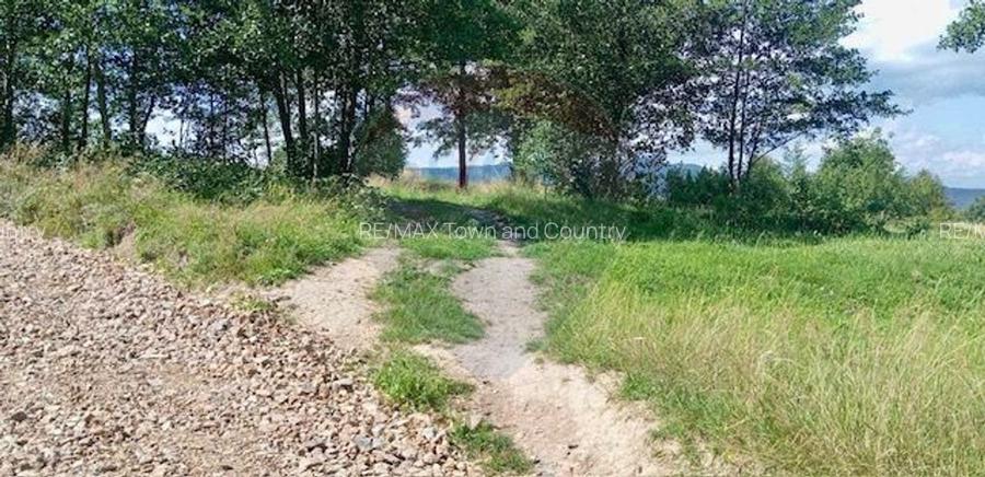 Teren 1,915mp Breb / Drumul Principal - 5