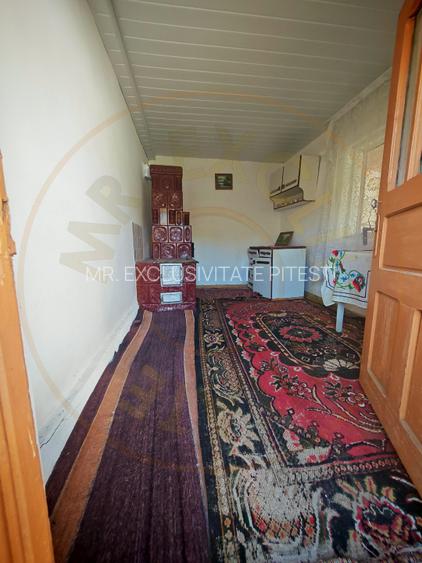 Casa + teren 3233 mp Darmanești Arges - 8