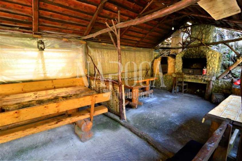Casa 9 camere de vanzare in Sat Cerc, Valea Ierii - 15