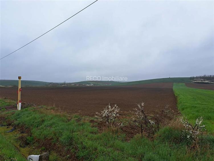 RECO teren Ghenetea 7800mp - 3