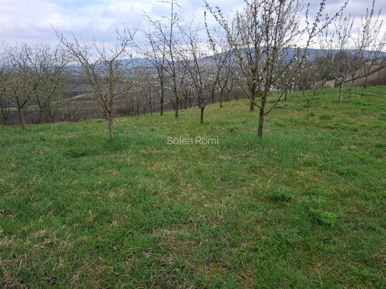 Teren Intravilan 1768 mp – Ocna Mureș - 7