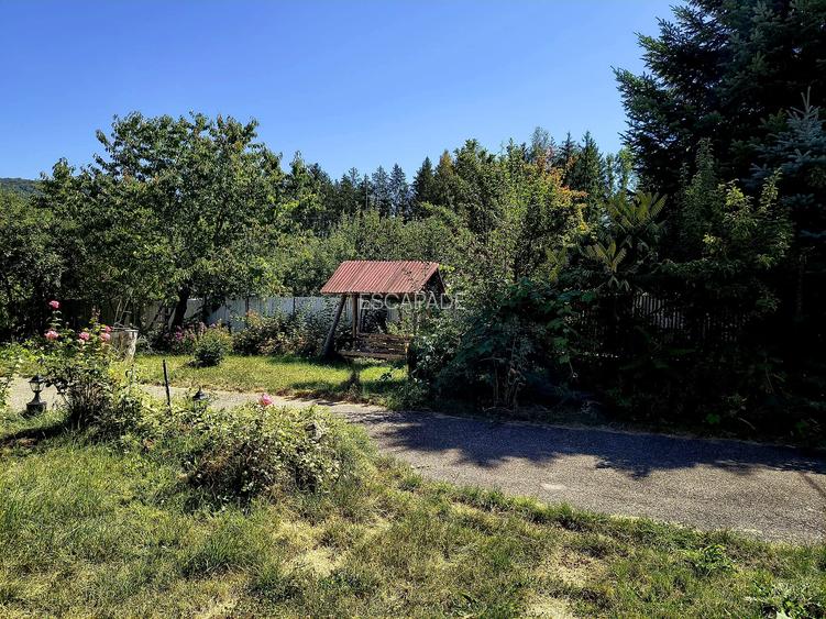 Oportunitate Investitie, casa de vacanta Bradet-Brasov - 3