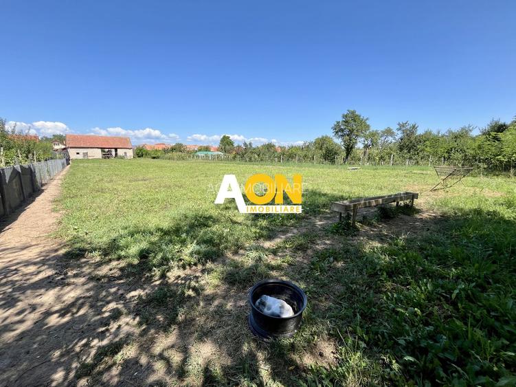 Teren Împrejmuit, 3514mp, Asfalt, Ciugud - 3