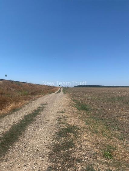 Stefanesti de Jos DJ200 Vanzare  Suprafata  Teren  Intravilan  5,5 Hectare - 3