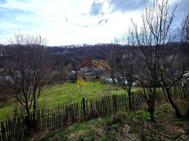 Casă bătrânească stil românesc + 875 mp teren | Telega - 4