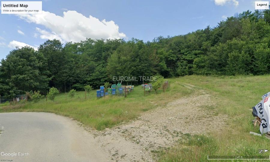 Vand parcele PADURE seculara stejar, N.Balcescu Valcea, la drum, conditii CABANA - 5