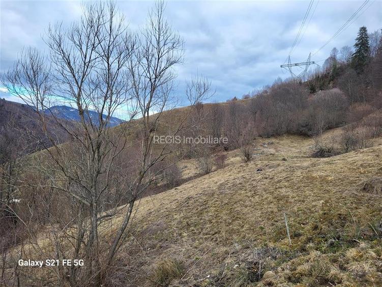 Teren, Zona de Interes Turistic-Cheile Gradistei,  8800mp - 9