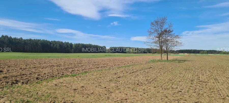 TEREN AGRICOL EXTRAVILAN - RECI - COVASNA - 4