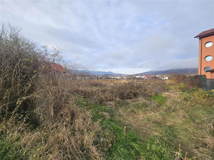 TEREN INTRAVILAN 10.700 mp  DE VANZARE  IN TG.OCNA - 6