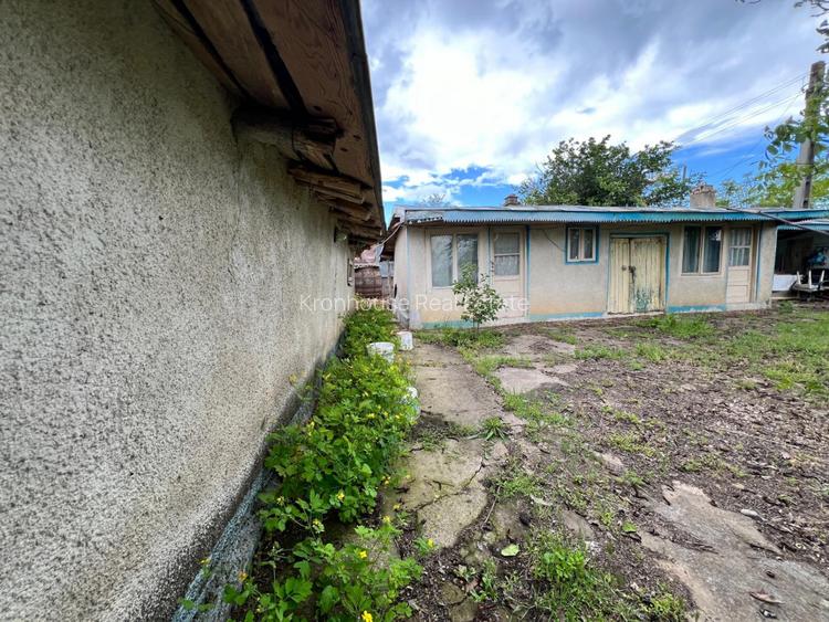 Casa + teren 4430 mp, vie si pomi fructiferi, 22 km de Tecuci - 25