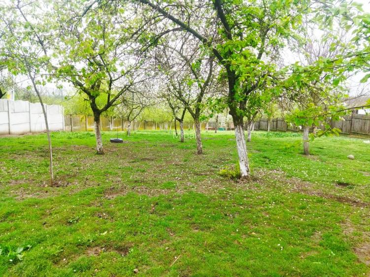 Casă Scrioaștea Cucueți lângă Roșiorii de Vede 200 mp teren 3000 mp  - 9