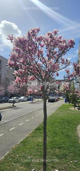 Apartament 3 camere NOU Targoviste  cu   Mobila Bucatarie Class Park Residence - 4