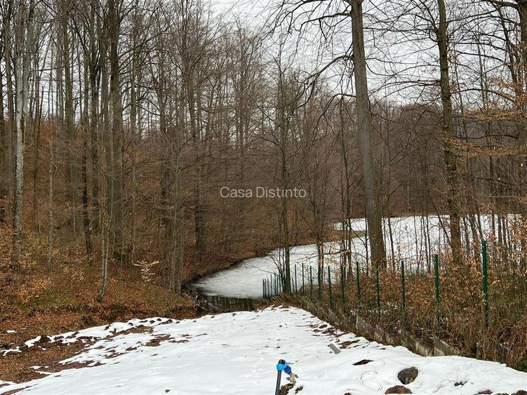 Exclusivitate! VILA PREMIUM CU DESCHIDERE LA LAC MOGOSA - 2