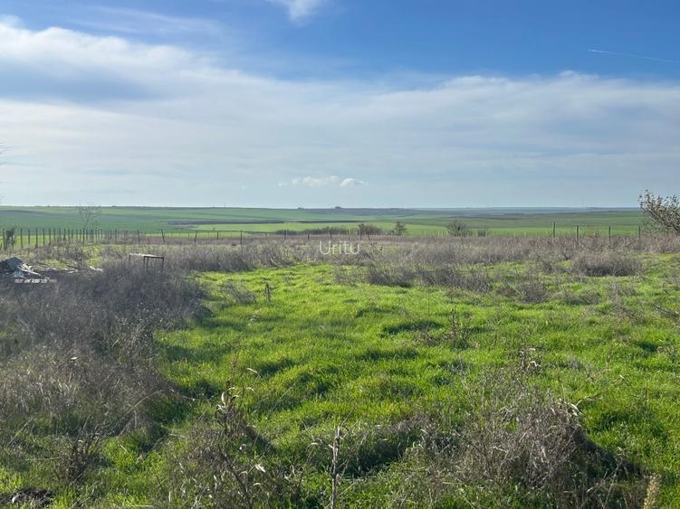 Teren extravilan 5000 mp - 7