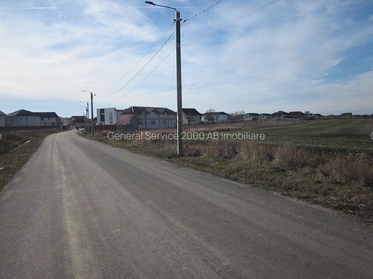 Domnesti-Narciselor - 2