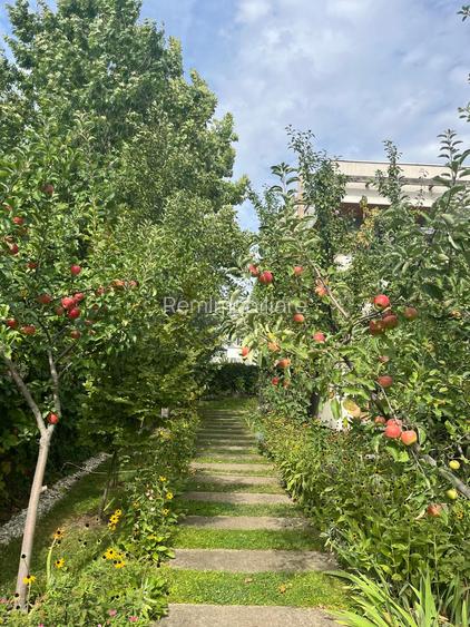 Vila Corbeanca - Laguna Albastra - 24