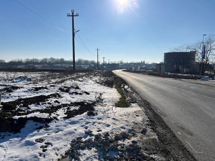 Teren intravilan 2000 mp-deschidere 27m la DJ200-Dascalu - 8