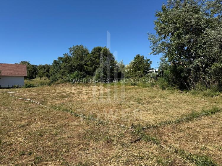 4 Parcele de vanzare | Rasinari - 6