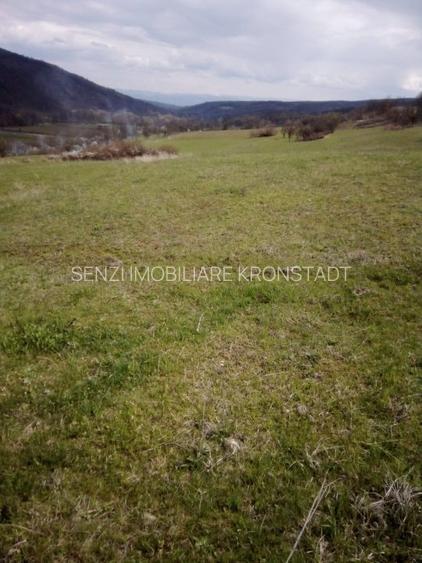 Teren superb in zona Geoagiu, Hunedoara - 10