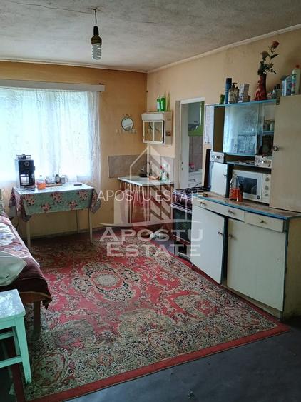 Casa batraneasca de vanzare, 4 camere, in Hunedoara, sat Micanesti - 18