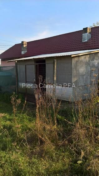 BUTIMANU - DN1A, CASA + TEREN 5000MP, DESCHIDERE 28 MP, - 14