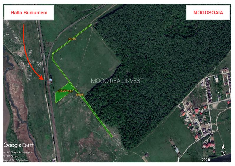 Oportunitate Investitie - 6000mp - Mogosoaia - 3