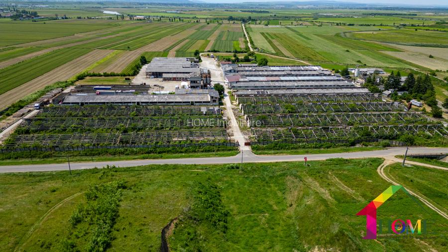 Teren 100.000 mp + Spatii Industriale Bacau - 15