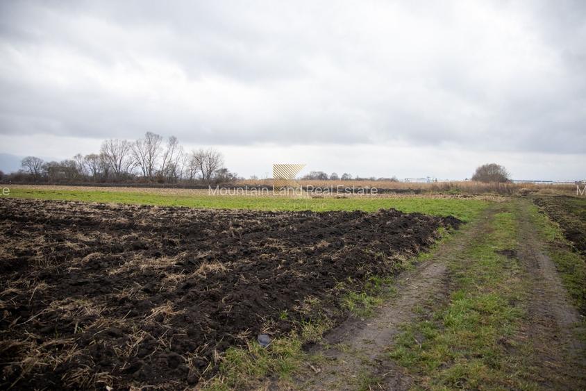 Lot de teren intravilan – 467 mp | Stupini, Strada Albinelor - 6