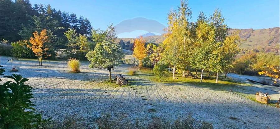 Casă / Vilă cu 2 camere de închiriat - 12