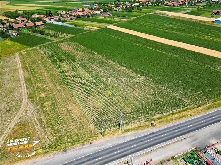 8.400mp, la DN12, cu Certificat Urbanism, teren intravilan, Chichis, Covasna. - 6