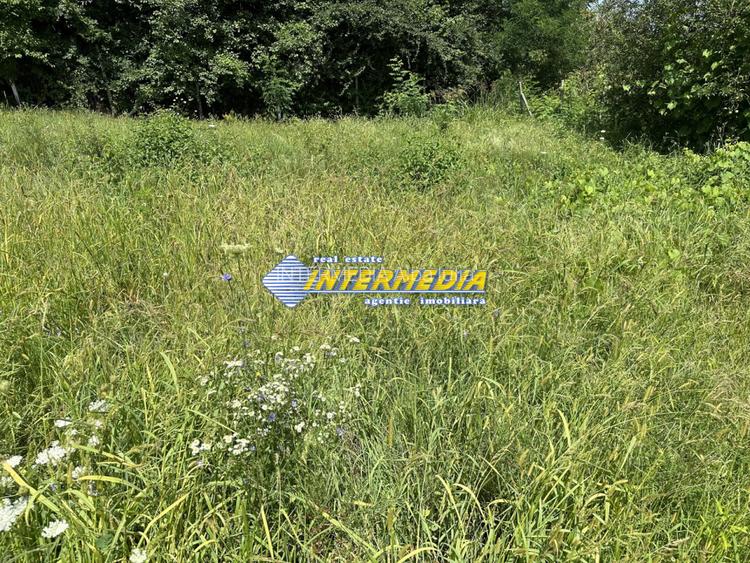 OKAZIE! 850 mp | Teren Intravilan | Alba Micesti | d=20 m| Utilitati | Panoramic - 3