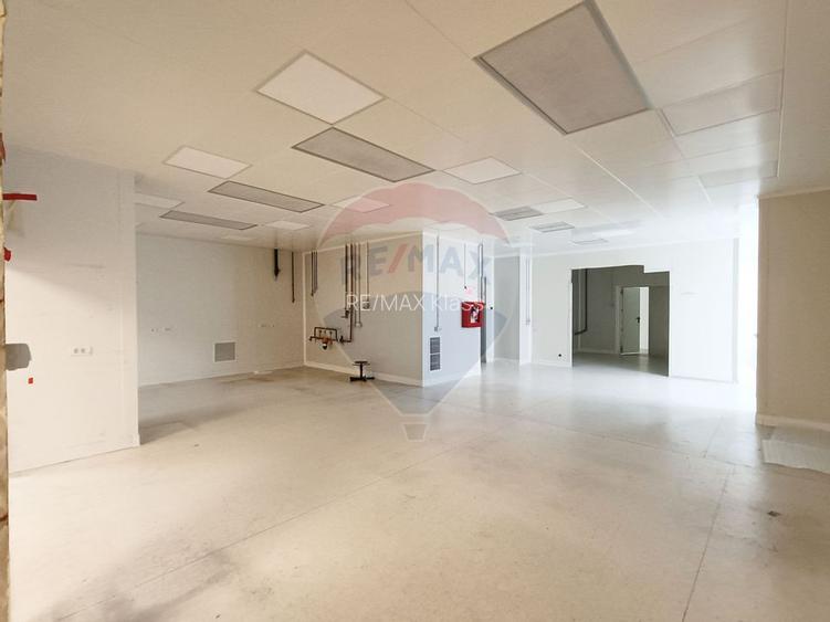 Inchiriere Spațiu Industrial/Productie | Mihai Bravu | Oportunitate! - 36